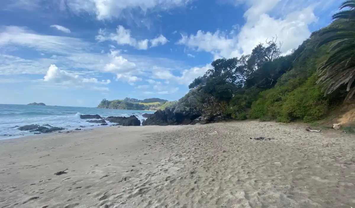 Little Palm Beach Entrances