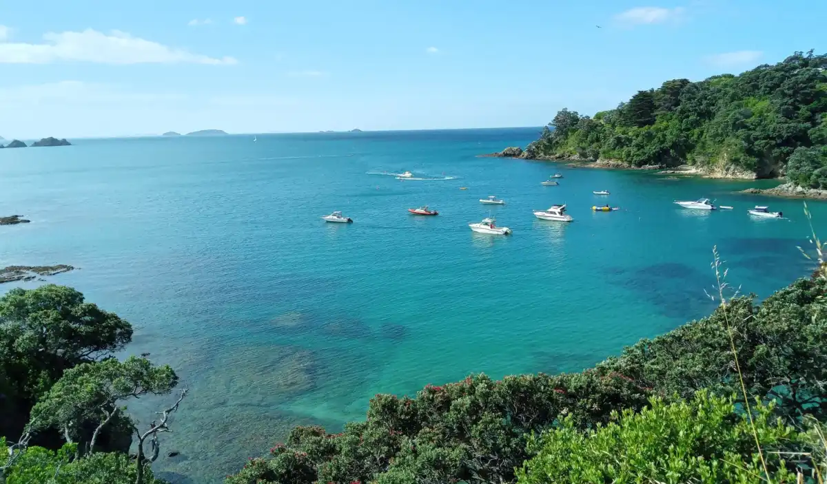 Hekerua Bay A Featured Image