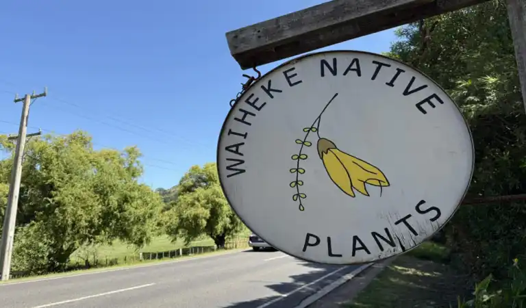 Waiheke Native Plants