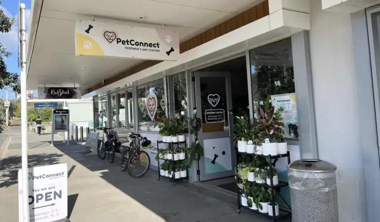 Pet Connect