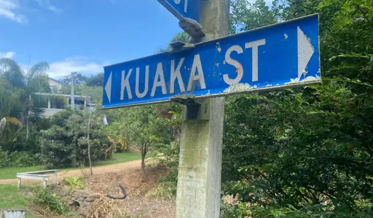 Kuaka Street