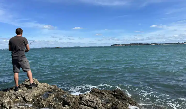 Te Miro Bay Fishing Spot