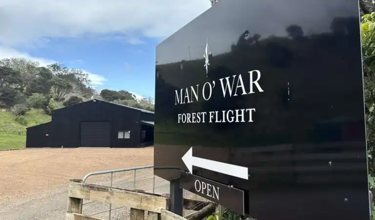 Man O War Forest Flight Zipline