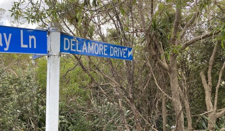 Delamore Drive