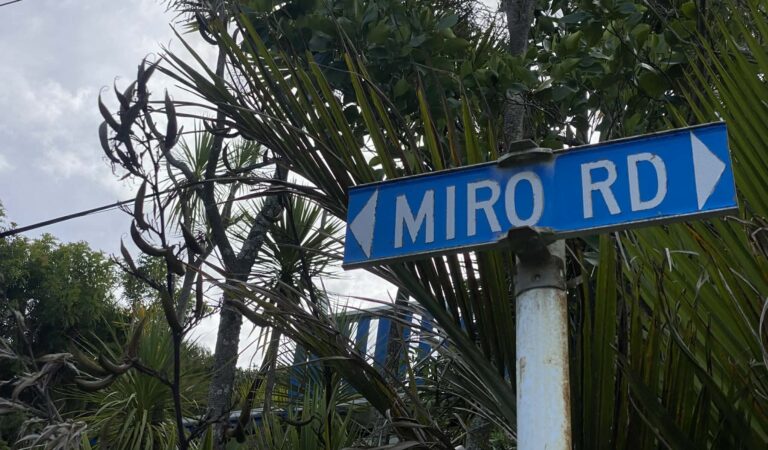Miro Road