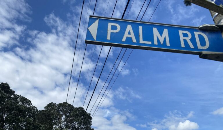 Palm Road