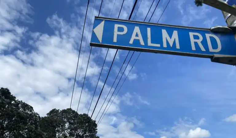 Palm Road