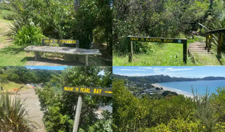 Waiheke Walkways and Lookouts