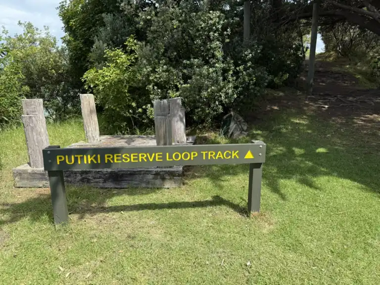 Putiki Reserve Loop Track