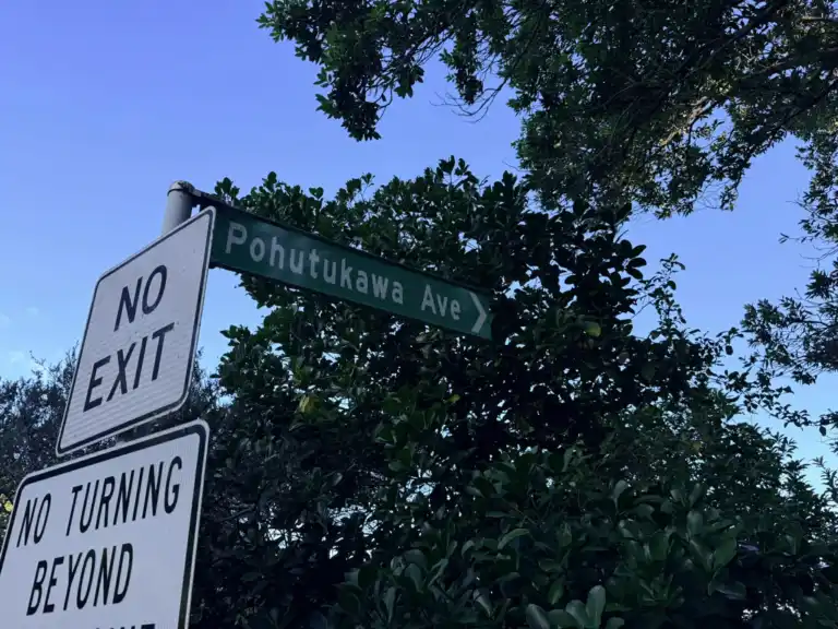 Pohutukawa Avenue
