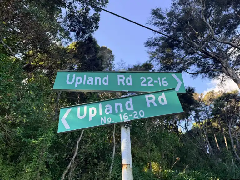 Upland Road