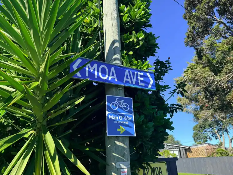 Moa Avenue