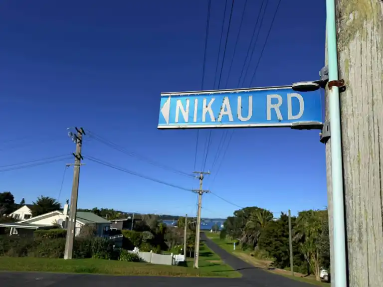 Nikau Road