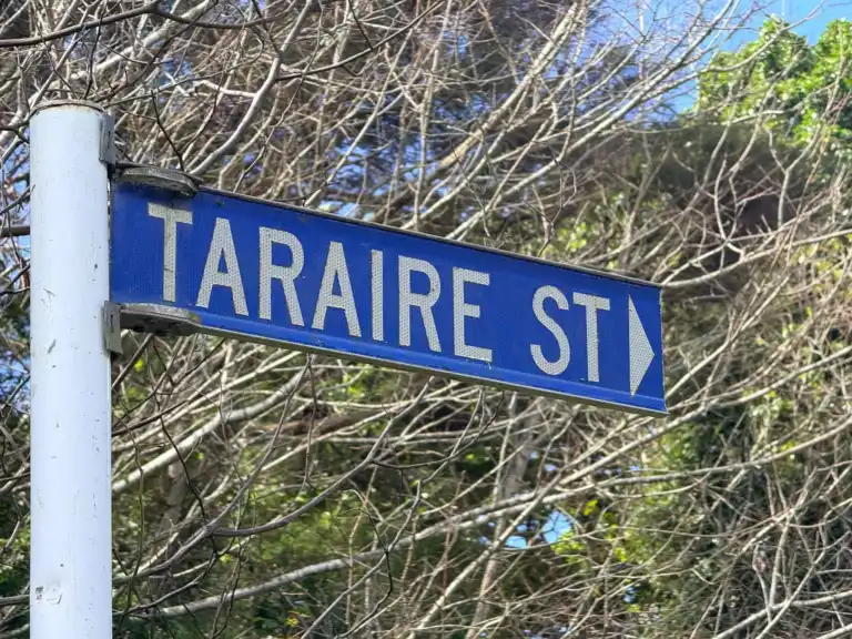 Related Slider: Taraire Street